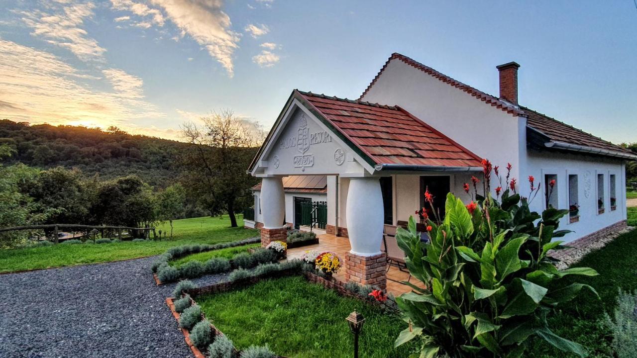 Palos Resort Zalacsány Zewnętrze zdjęcie