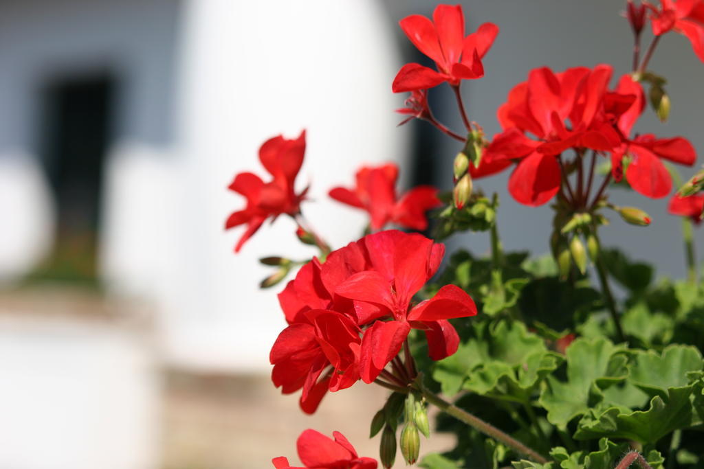 Palos Resort Zalacsány Zewnętrze zdjęcie